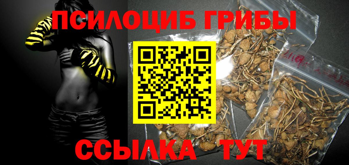 Псилоцибиновые грибы GOLDEN TEACHER  Псилоцибиновые грибы мухоморы  Вход с VPN  закладки  Ивантеевка 